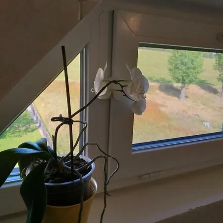 U Pohody Kovářská